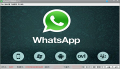 Whatsapp营销如何轻松管理几千个帐号？