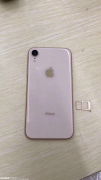 廉价iPhone XC曝光 四种颜色支持双卡？
