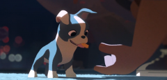 奥斯卡最佳动画短片《美味盛宴》，你离脱单只差一条狗！