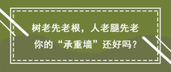 北京白癜风医院白淑芳：树老先老根，人老腿先老，你的“承重墙”还好吗?